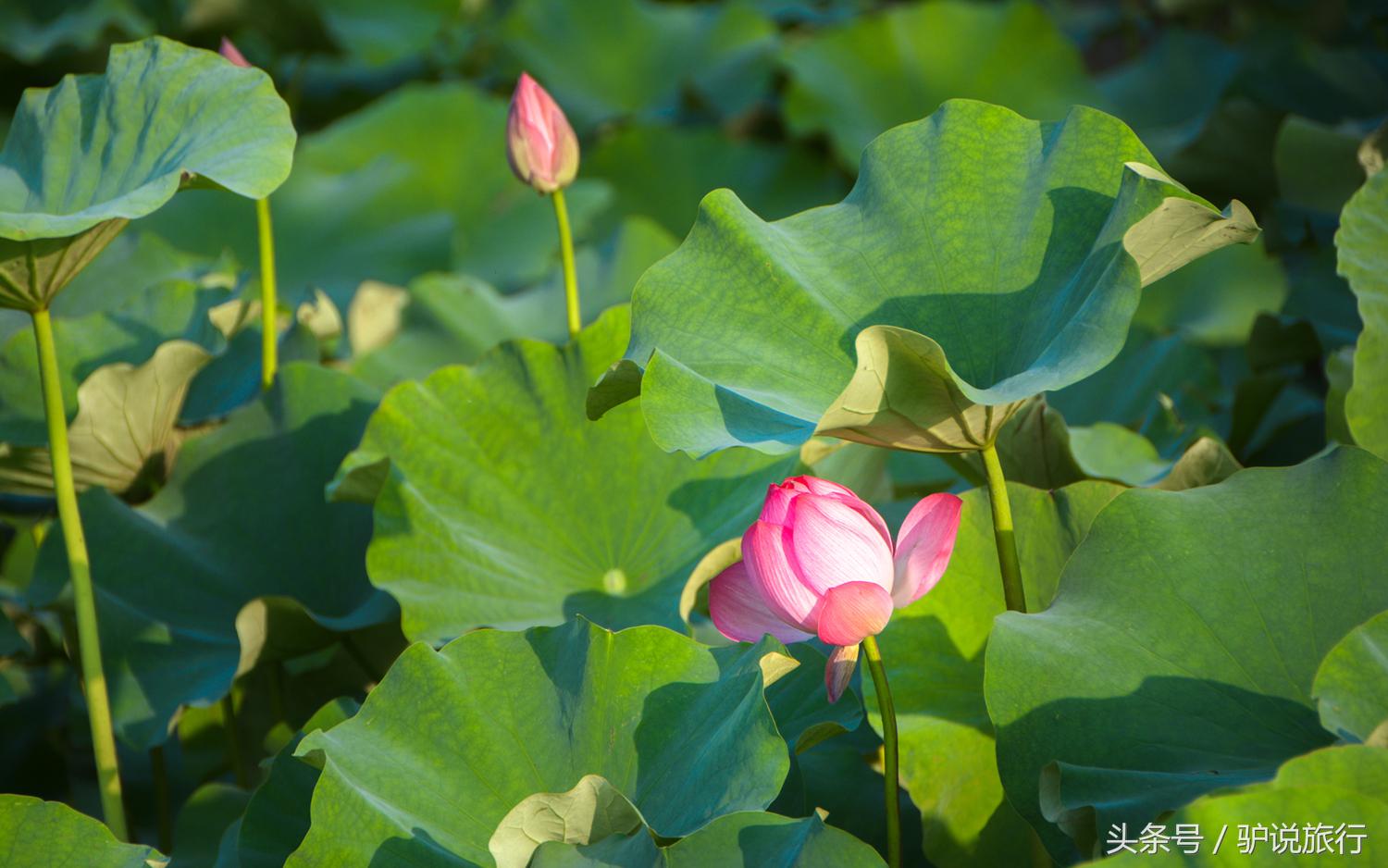 王家卫浙江舟山,王家卫来过浙江台州吗