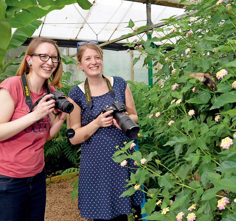 单反相机快速入门,单反相机入门购买