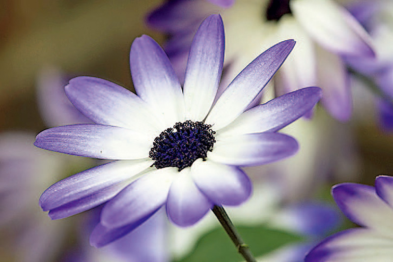 单反相机快速入门,单反相机入门购买