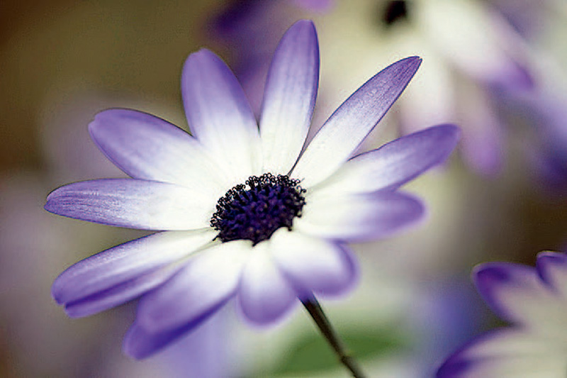 单反相机快速入门,单反相机入门购买