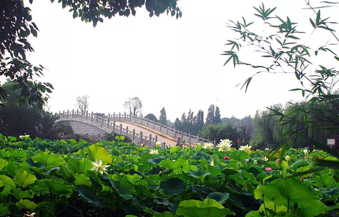 现在南昌好玩的地方,哪些地方是南昌县的