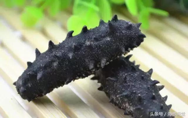 海参价格有高有低,海参价格便宜的猫腻