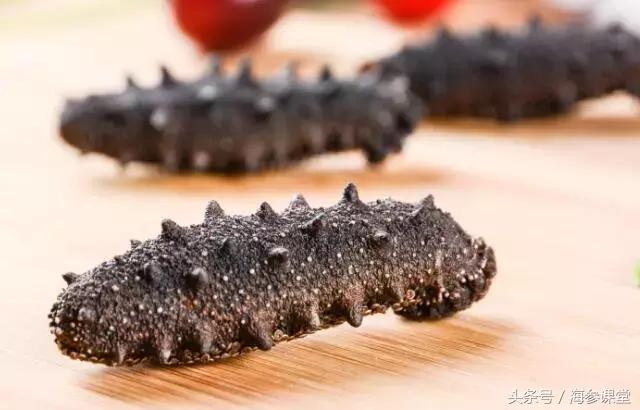 海参价格有高有低,海参价格便宜的猫腻