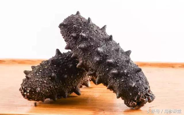 海参价格有高有低,海参价格便宜的猫腻