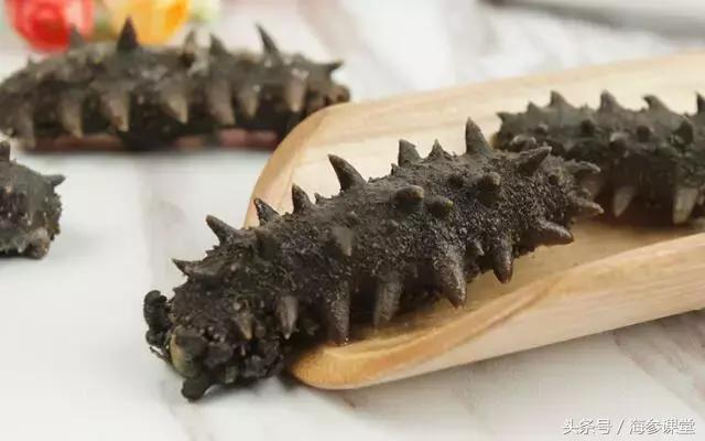 海参价格有高有低,海参价格便宜的猫腻