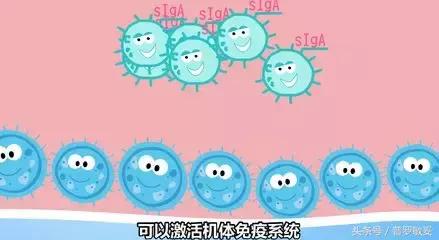 过敏性咳嗽用抗过敏益生菌有效吗,儿童咳嗽能吃合生元益生菌吗