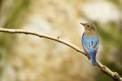 十年抑郁症,抑郁症噩梦