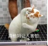 85°C竟然喝出锂电池!比起这些外卖“加餐”算啥?看完还敢吃吗