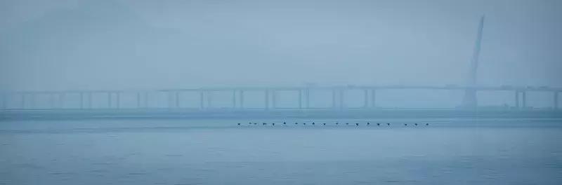 闹市中的一寸天堂，摄影师胡可镜头下的仙境——深圳湾