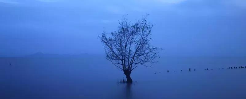 闹市中的一寸天堂，摄影师胡可镜头下的仙境——深圳湾