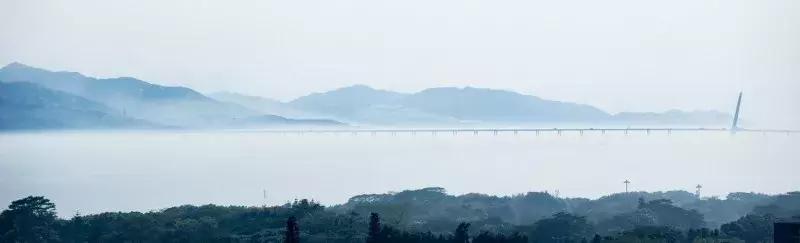 闹市中的一寸天堂，摄影师胡可镜头下的仙境——深圳湾
