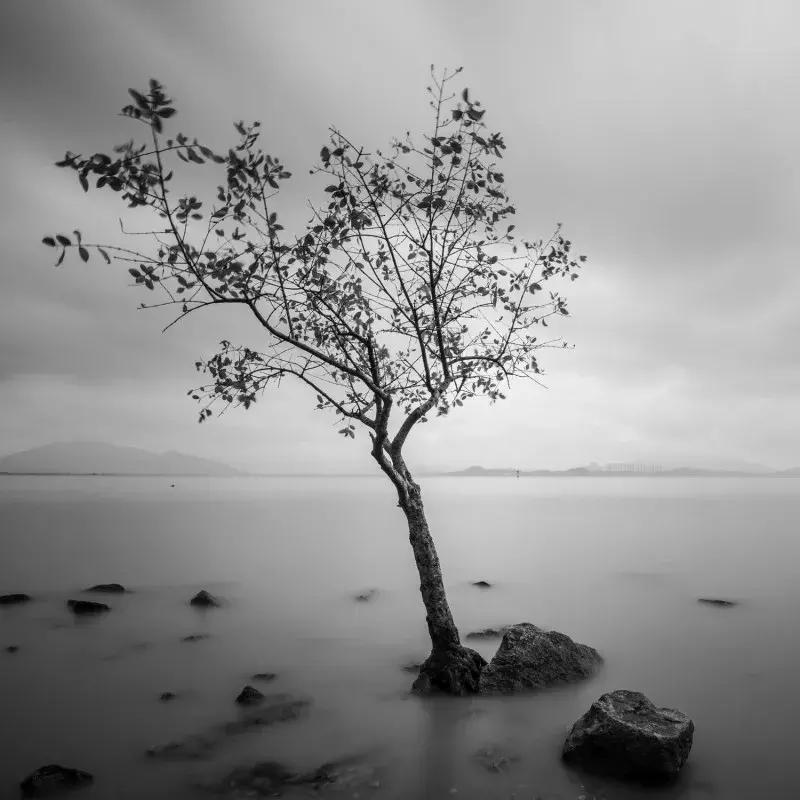 闹市中的一寸天堂，摄影师胡可镜头下的仙境——深圳湾