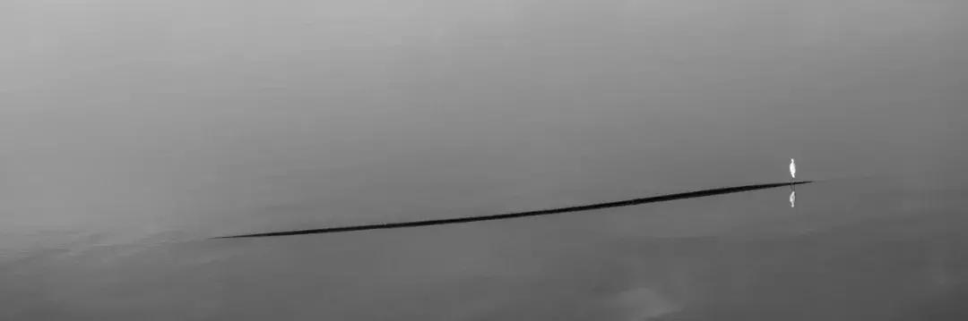 闹市中的一寸天堂，摄影师胡可镜头下的仙境——深圳湾