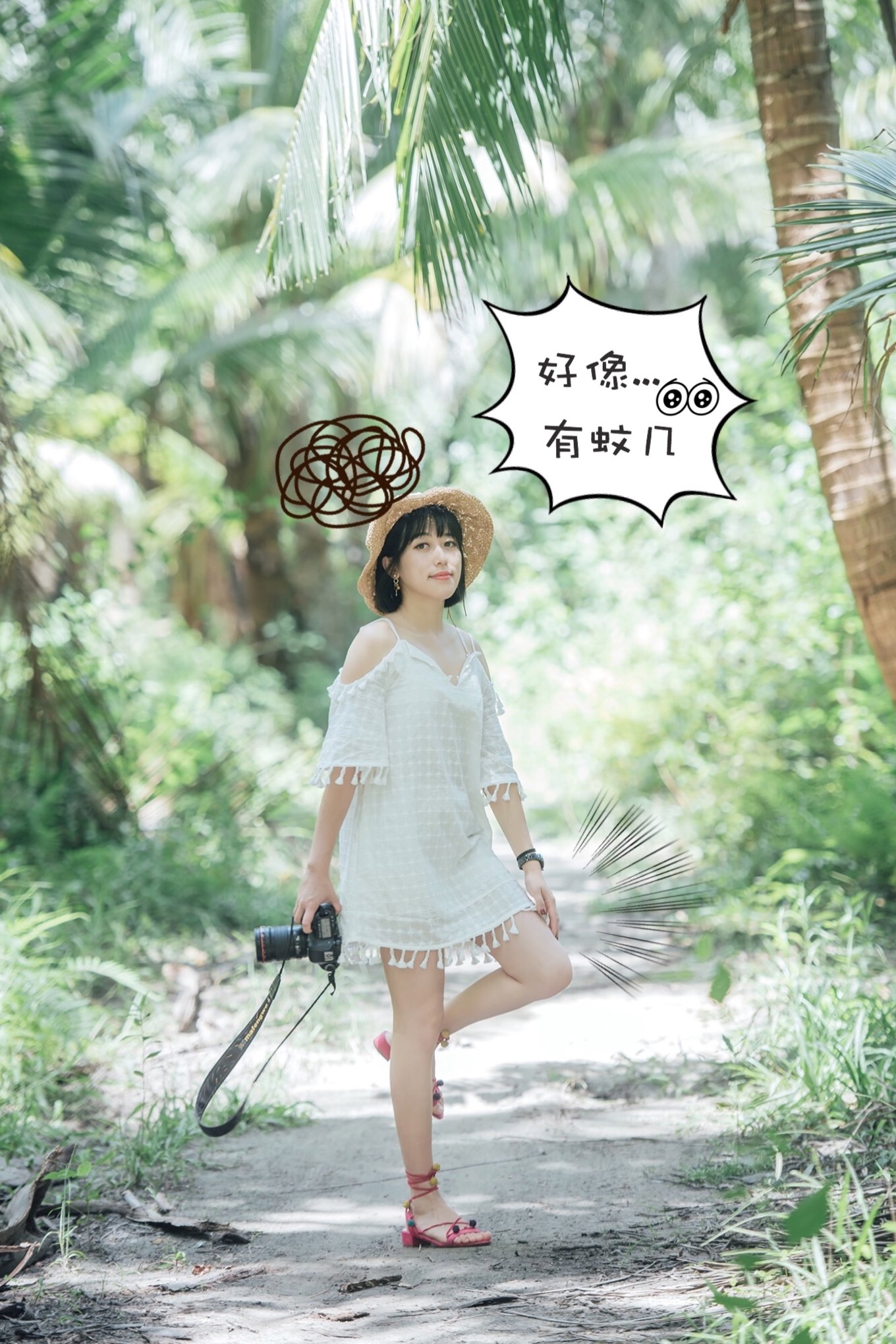 从日出到星辰大海，这里是海南文昌——今夕传媒旅行家出品