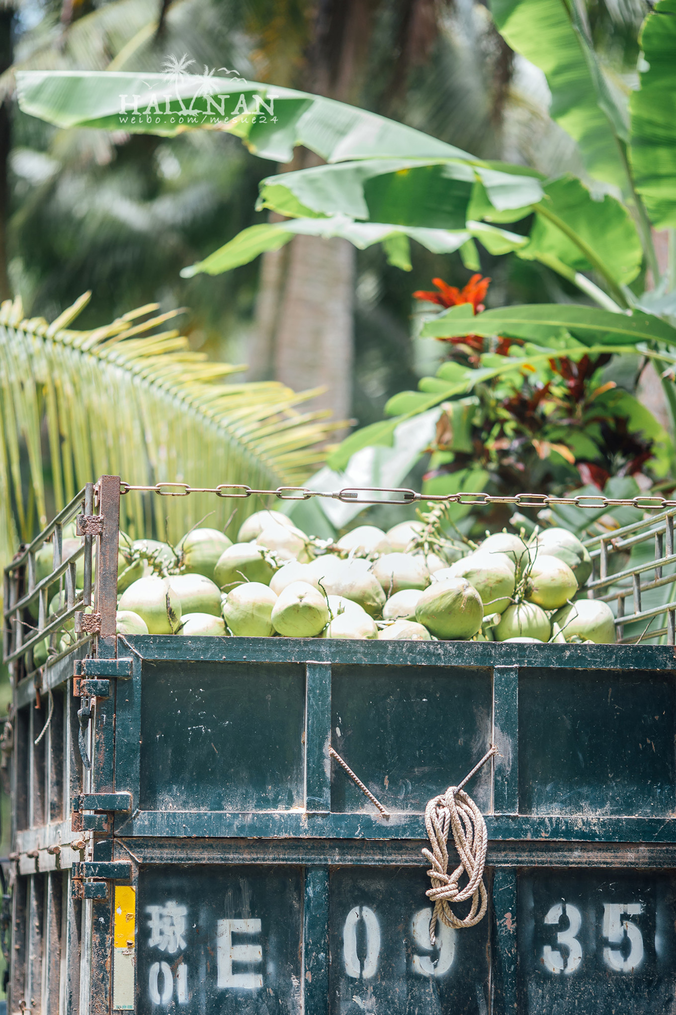 从日出到星辰大海，这里是海南文昌——今夕传媒旅行家出品