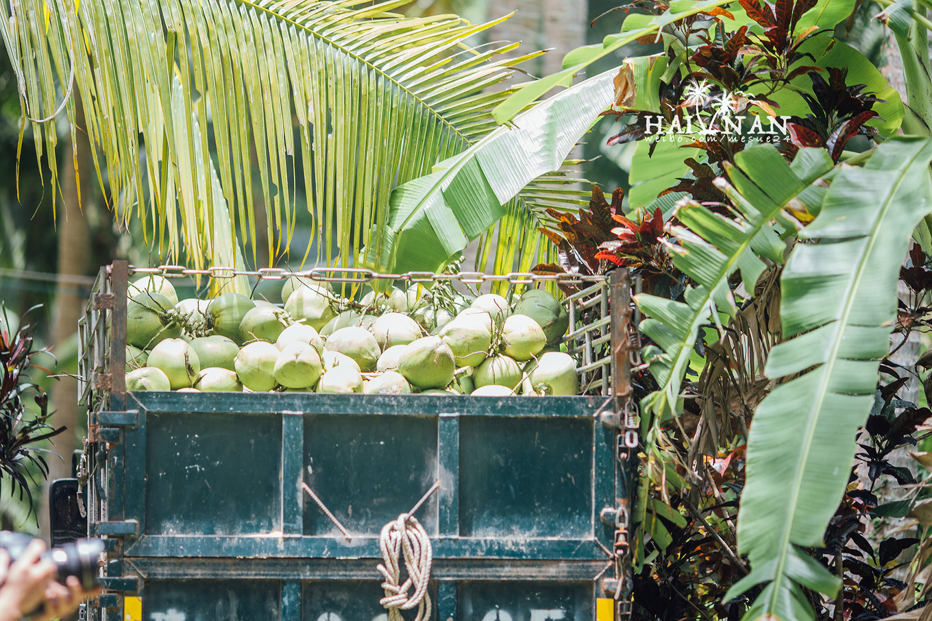 从日出到星辰大海，这里是海南文昌——今夕传媒旅行家出品