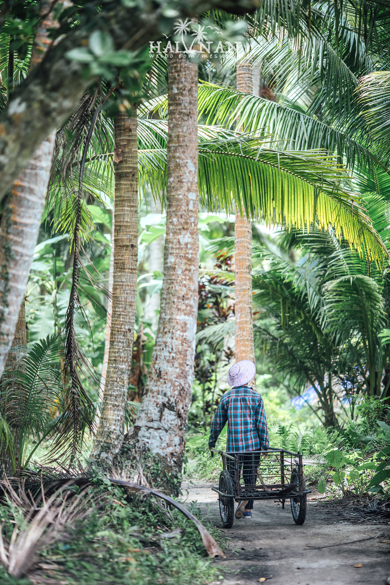 从日出到星辰大海，这里是海南文昌——今夕传媒旅行家出品
