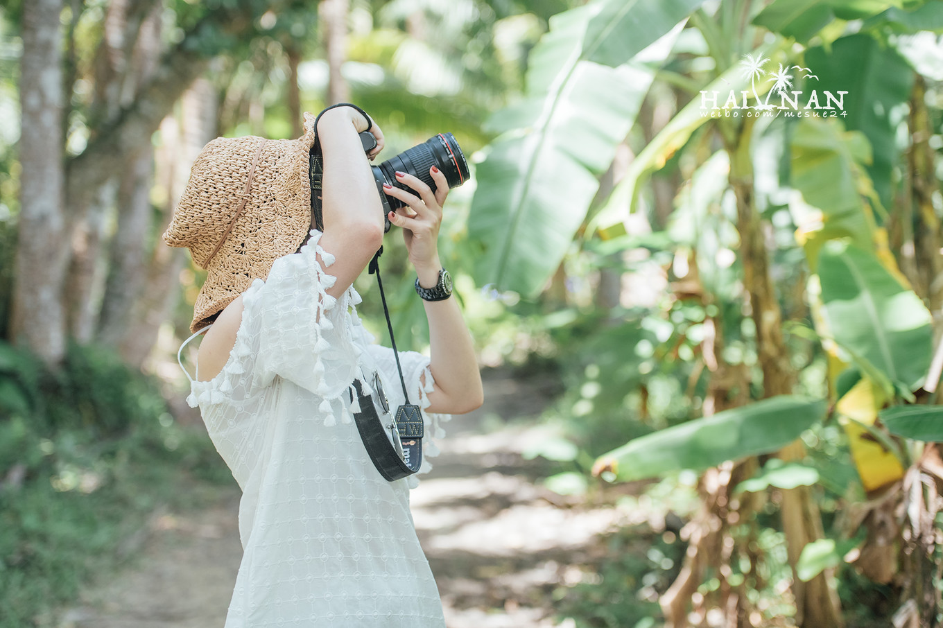 从日出到星辰大海，这里是海南文昌——今夕传媒旅行家出品
