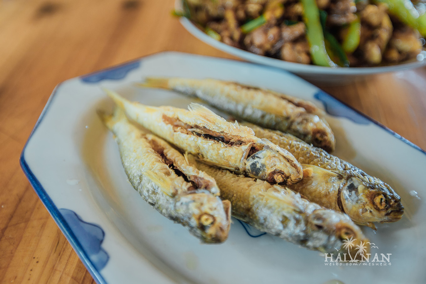 从日出到星辰大海，这里是海南文昌——今夕传媒旅行家出品