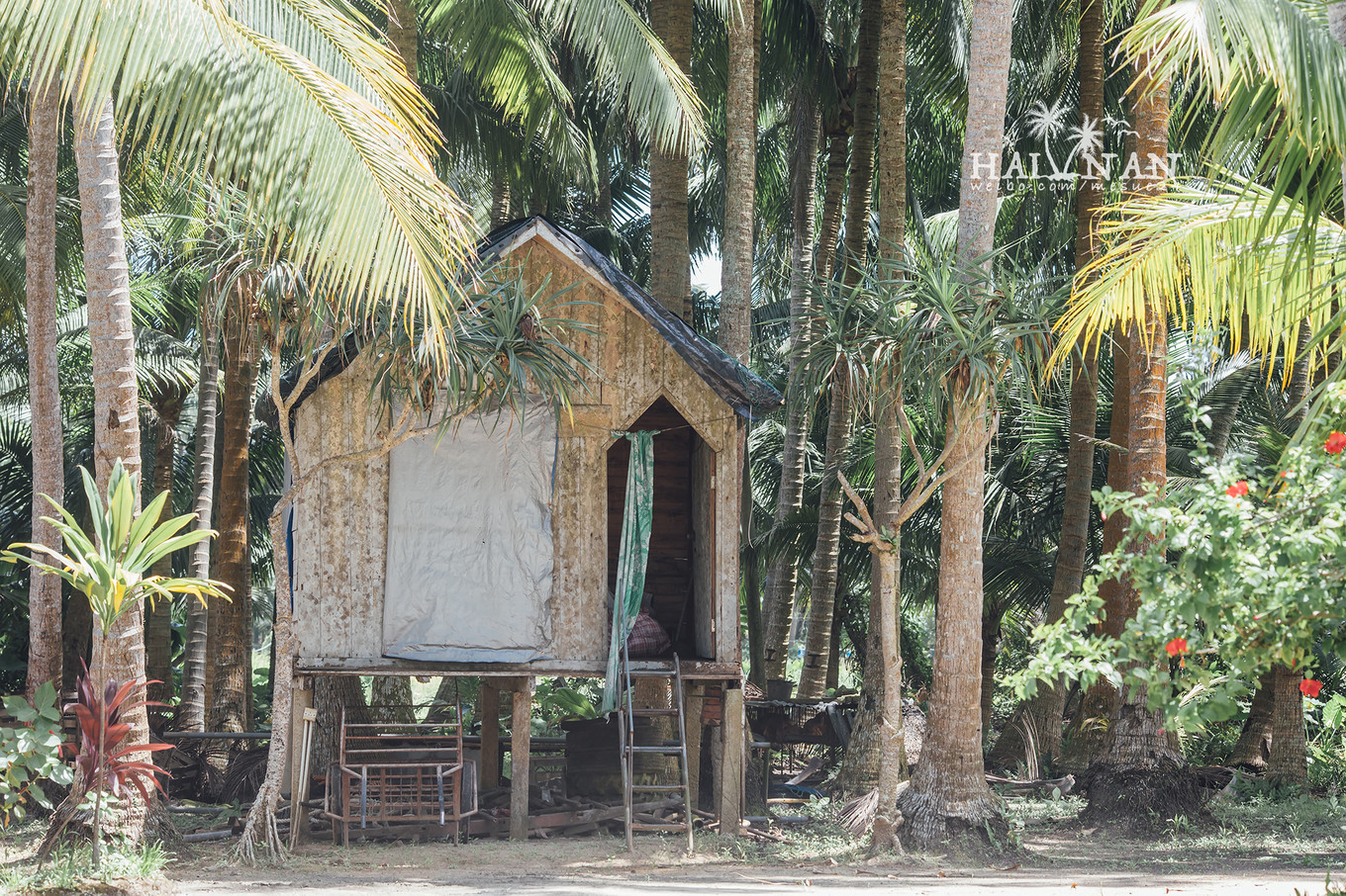 从日出到星辰大海，这里是海南文昌——今夕传媒旅行家出品