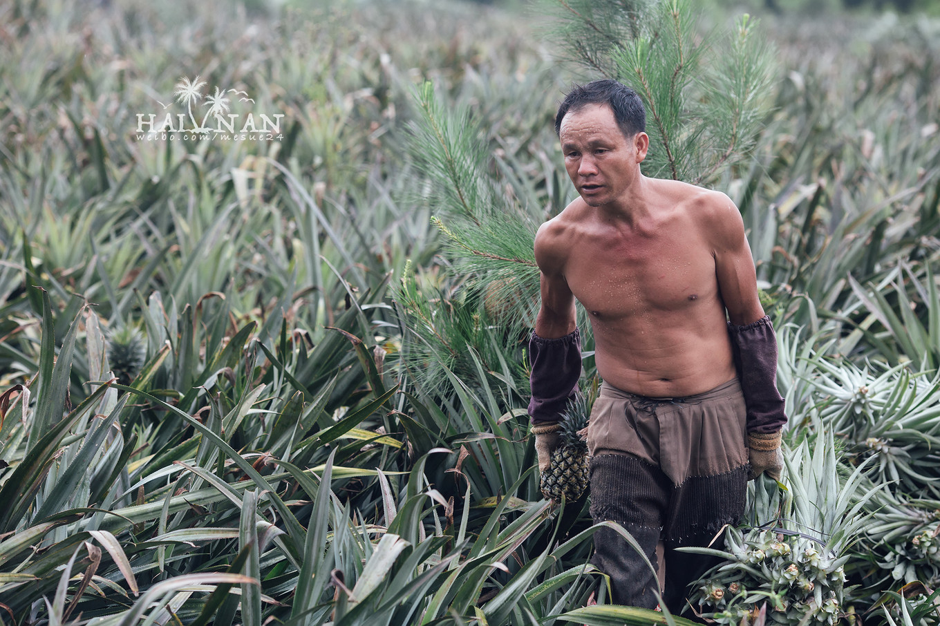 从日出到星辰大海，这里是海南文昌——今夕传媒旅行家出品