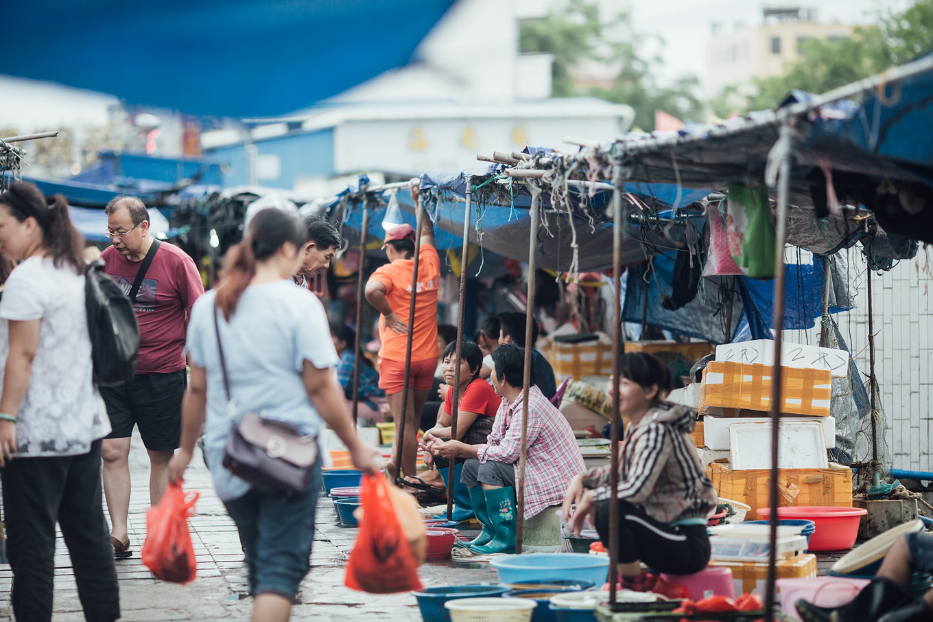 从日出到星辰大海，这里是海南文昌——今夕传媒旅行家出品