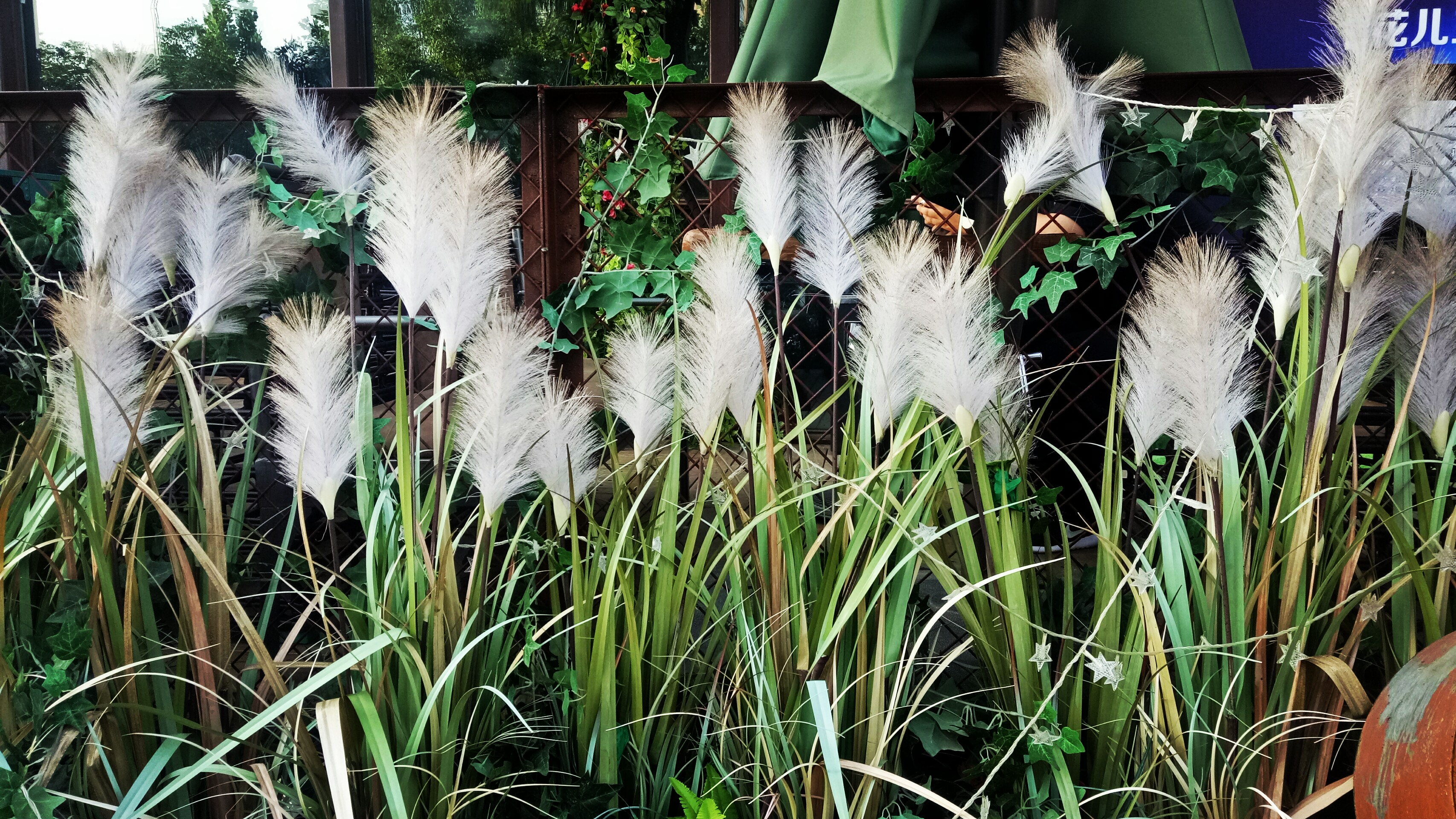 郑州有个音乐酒馆看球爆满，球迷不用去天台排队，连梅西都想来了