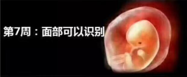 孕妈十月怀胎，详解每周小宝宝在妈妈肚子里发生了哪些变化，实用