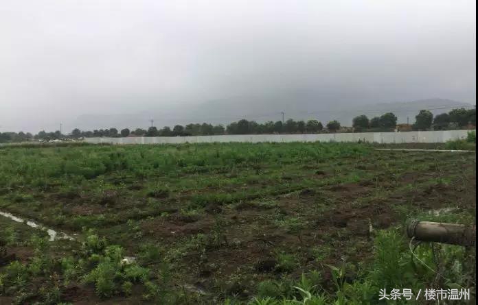 华润在温州拿地一千亩,华润温州拿地