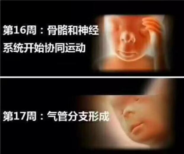 孕妈十月怀胎，详解每周小宝宝在妈妈肚子里发生了哪些变化，实用