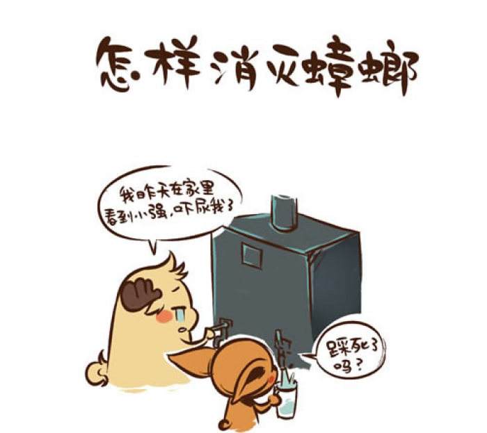 土法消灭蟑螂,蟑螂怎么不花钱正确消灭最彻底