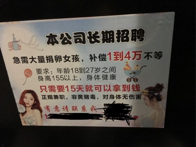 捐卵有多可怕?多少年轻女孩差点把命都搭进去了!