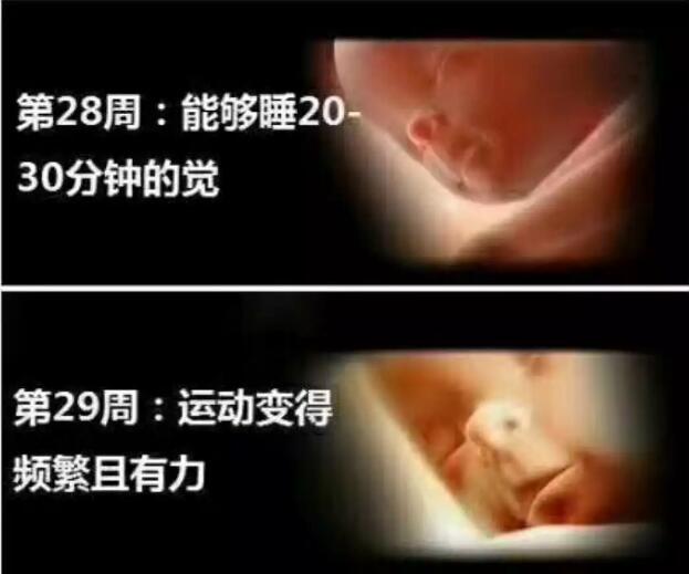 孕妈十月怀胎，详解每周小宝宝在妈妈肚子里发生了哪些变化，实用