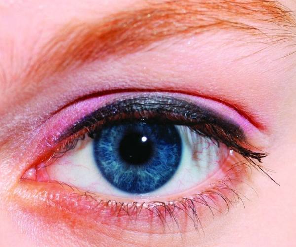 心理测试最喜欢的人,心理测试你第一眼喜欢哪个花