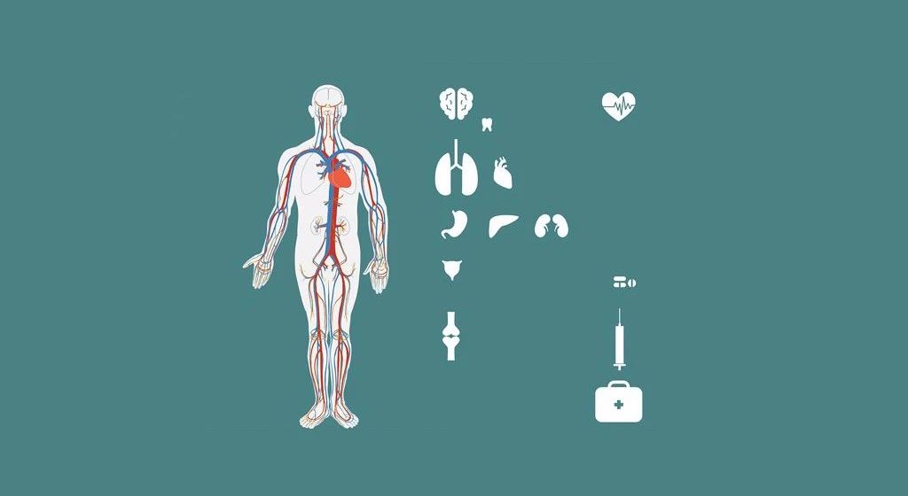 七种高发癌症的早筛和预防指南,6大高发癌症筛查方法