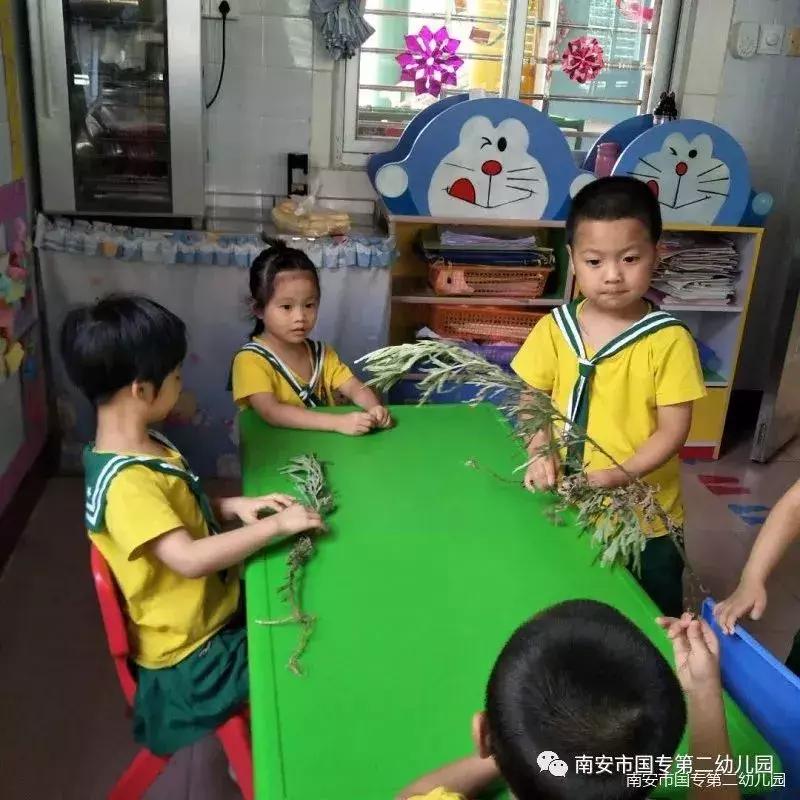 南安端午粽,福建闽南端午粽