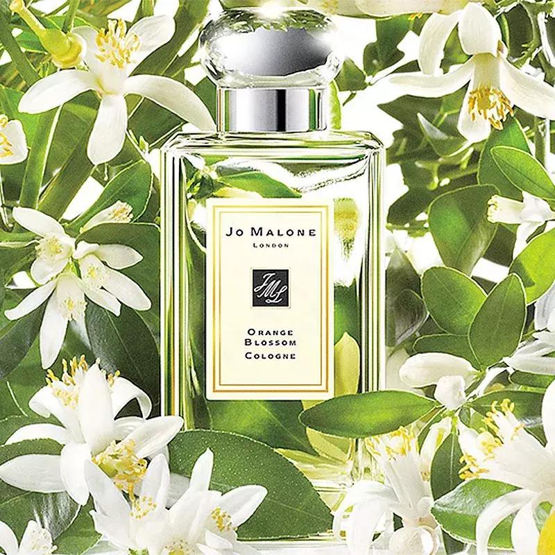 闻香识女人必买香水,闻香识女人中提到的香水品牌