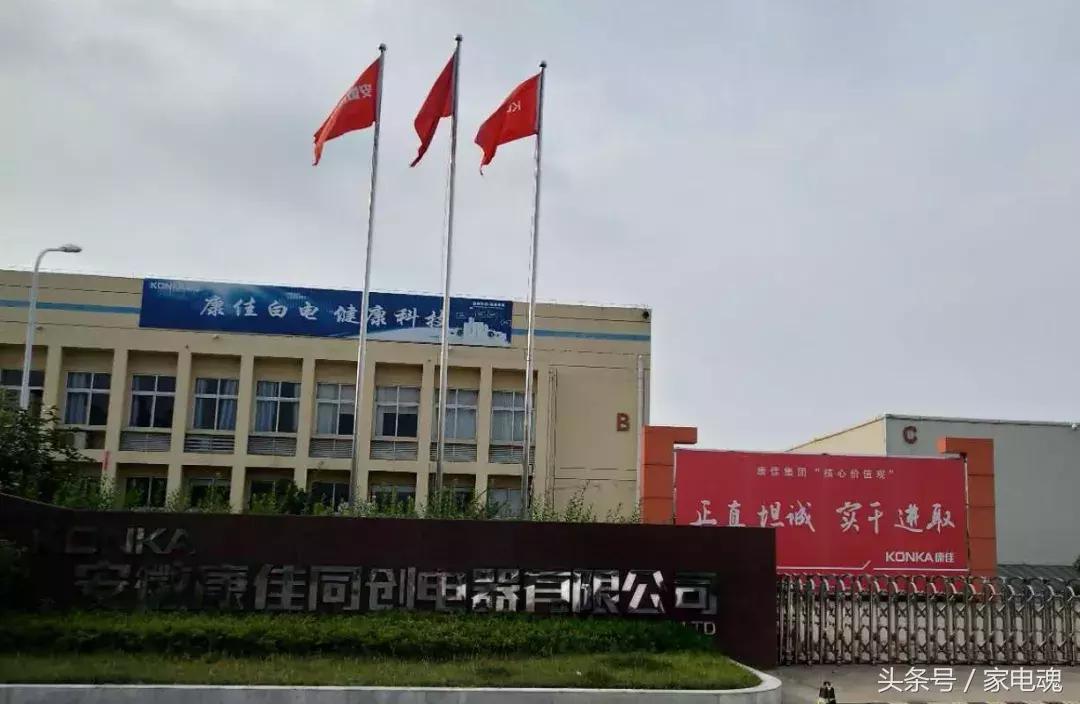 尘埃落定银号,尘埃落定钮伟明