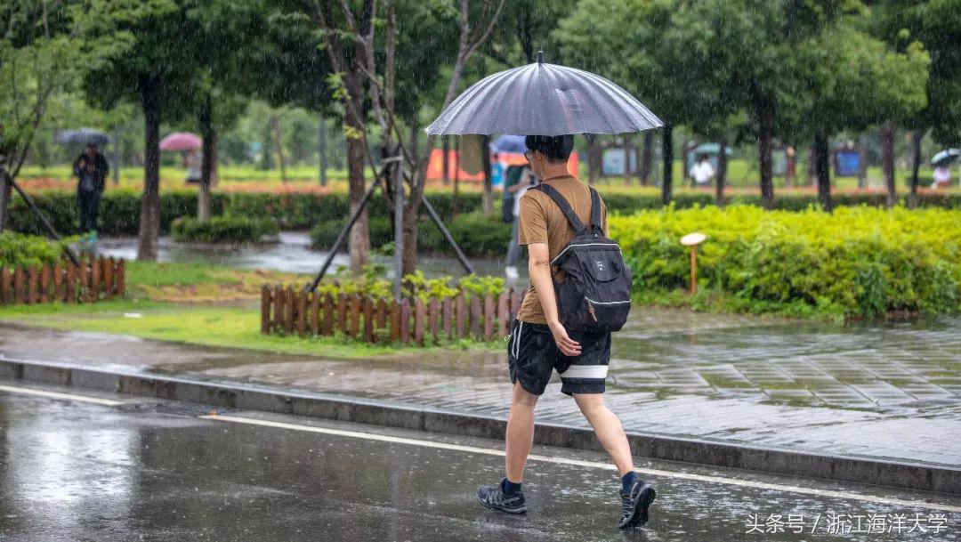 你觉得大海是怎么样的二年级上册,你觉得夏天是怎样的