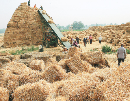 日本稻草打捆,日本山区水稻收割打包