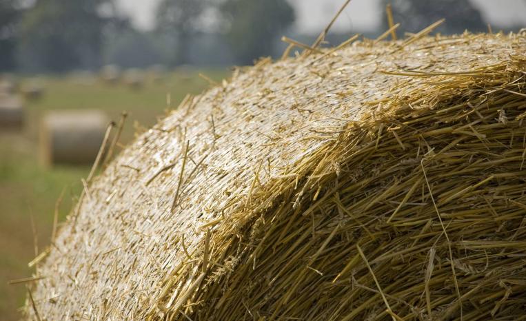 日本稻草打捆,日本山区水稻收割打包