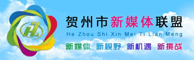 身份证被冒用怎么处理,身份证被冒用违法怎么办