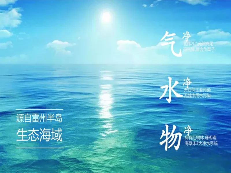 口腔强效除味剂,口腔抑制剂除异味