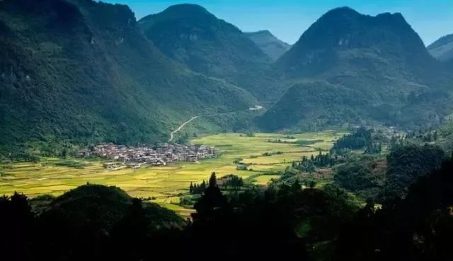 麻雀变凤凰台湾,麻雀变凤凰台湾版