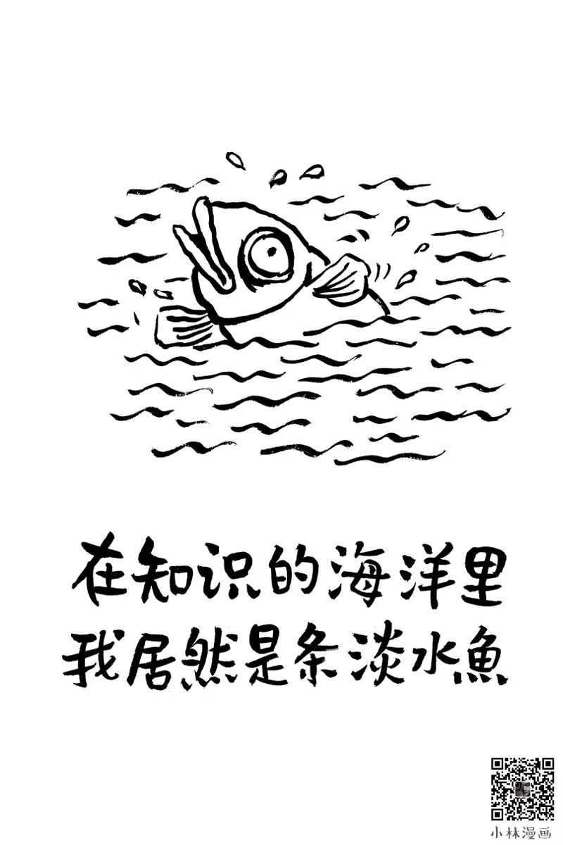 先生苦海无涯,小说苦海无涯回头是我