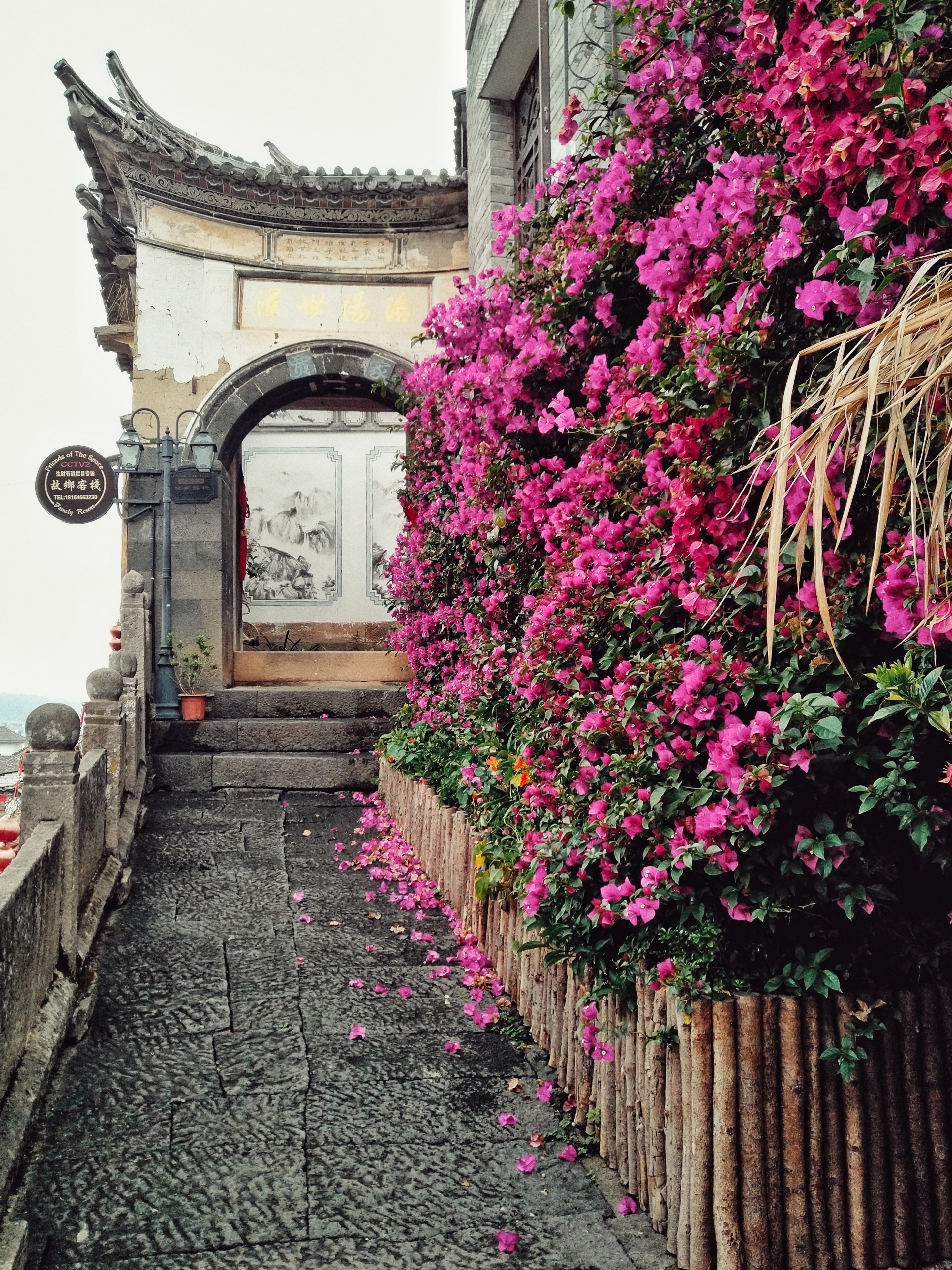 耗时2个月,花费17000,一个强迫症患者的疯滇行(五)