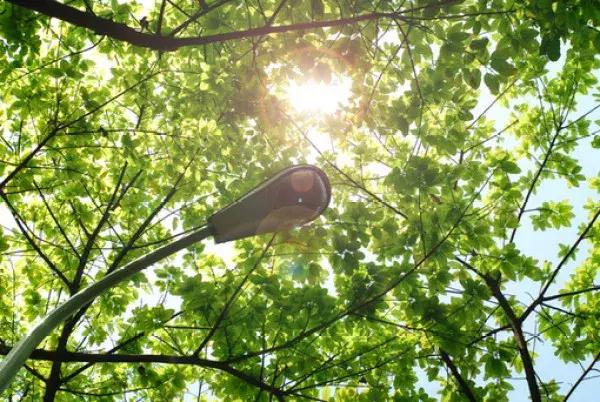 再见山西财经大学,走进山西财经大学