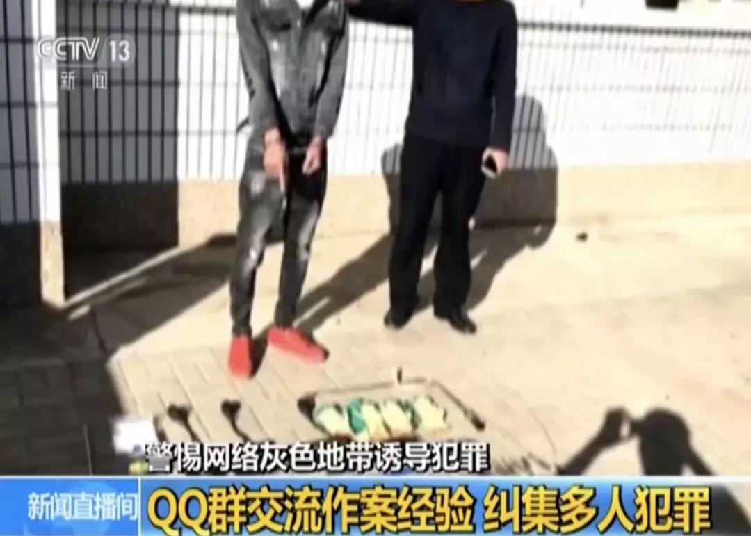 QQ群、贴吧成为滋生犯罪的温床,平台责任该如何落实?