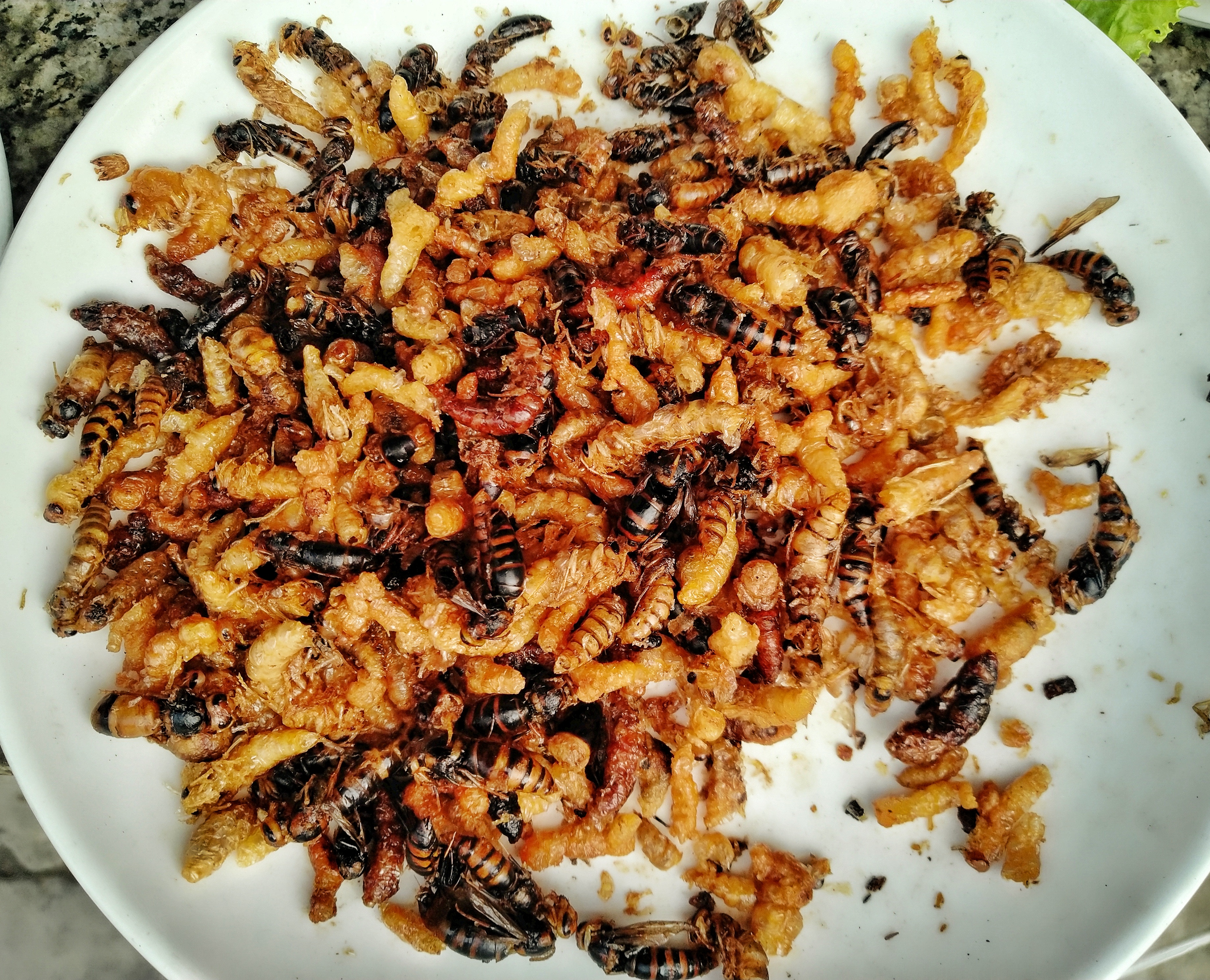 耗时2个月,花费17000,一个强迫症患者的疯滇行(五)