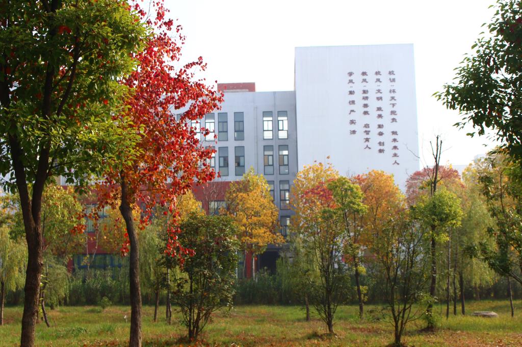 这是一个学校英语怎么写,填空题这是一个什么什么的湖